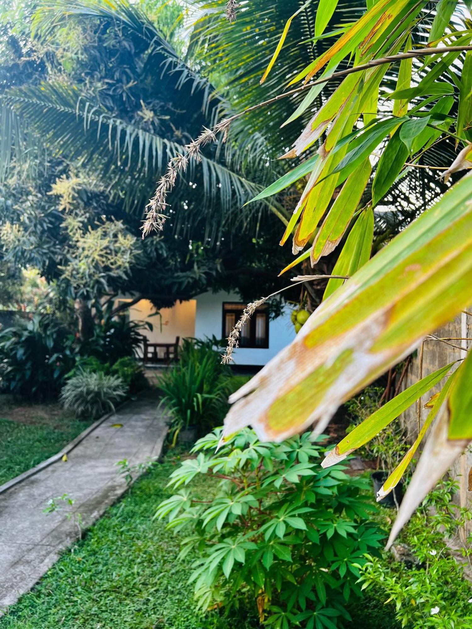 The Mango Retreat Villa Mirissa Exterior photo