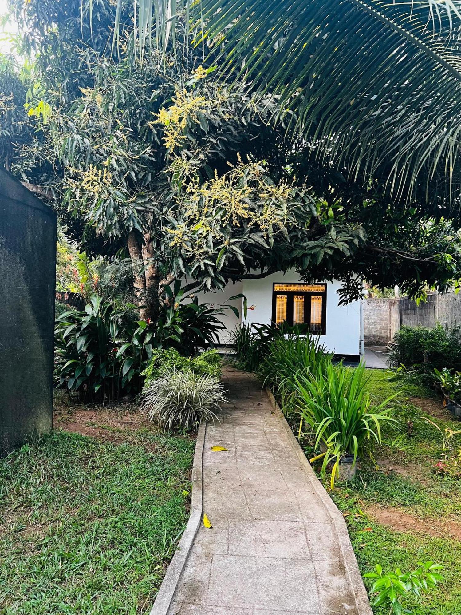 The Mango Retreat Villa Mirissa Exterior photo