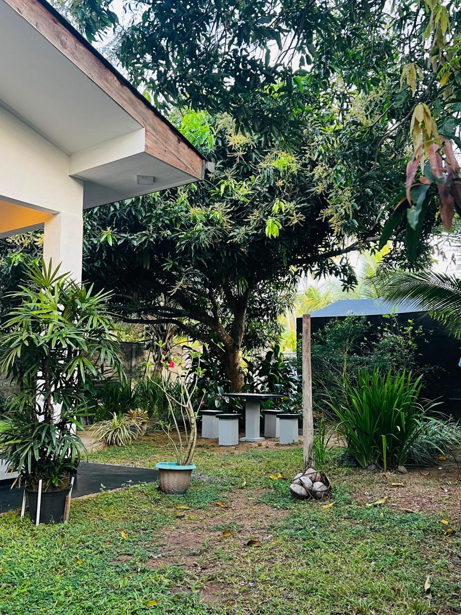The Mango Retreat Villa Mirissa Exterior photo